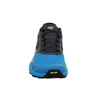 Scarpe running uomo Dynafit  Alpine Magnet