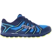 Scarpe running uomo Inov-8 Trailfly 250 (s)   UK 10