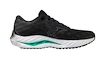 Scarpe running uomo Mizuno  Wave Inspire 19 2E Black/Metallic Gray/Biscay Green