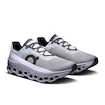 Scarpe running uomo On Cloudmonster Alloy/Silver