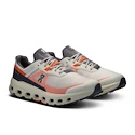 Scarpe running uomo On Cloudvista 2 Ice/Flame