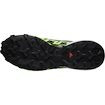 Scarpe running uomo Salomon  GTX Flint/Grgeck/Black