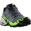 Scarpe running uomo Salomon  GTX Flint/Grgeck/Black