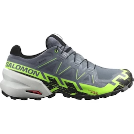 Scarpe running uomo Salomon GTX Flint/Grgeck/Black