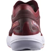 Scarpe running uomo Salomon Phantasm Biking Red/Purple Heart