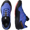 Scarpe running uomo Salomon Pulsar Trail GTX Dazzling Blue