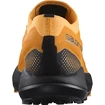 Scarpe running uomo Salomon Pulsar Trail Pro Marmalade