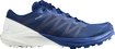 Scarpe running uomo Salomon Sense 4 PRO