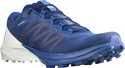 Scarpe running uomo Salomon Sense 4 PRO