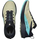 Scarpe running uomo Salomon Sense Ride 5 Alfalfa / Carbon / Peacock Blue