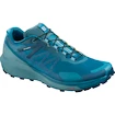 Scarpe running uomo Salomon Sense Ride