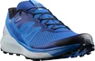 Scarpe running uomo Salomon Sense Ride Turkish Sea