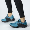 Scarpe running uomo Salomon  Wildcross 2 GTX Barrier Reef