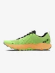 Scarpe sportive da uomo Under Armour HOVR DS Ridge TR-GRN