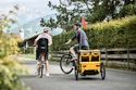 Seggiolino per bambini per biciclette Thule RideAlong