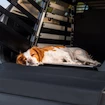 Tappetino per la gabbia per il trasporto Thule Allax Dog mat standard