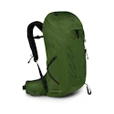 Zaino da uomo OSPREY TALON 26 green belt/black