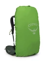 Zaino OSPREY  Kestrel 38 Bonsai Green L/XL